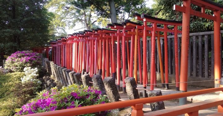 根津神社 怖い