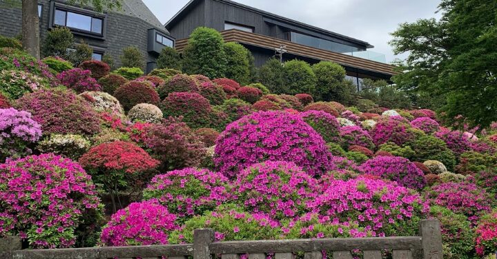 根津神社 怖い
