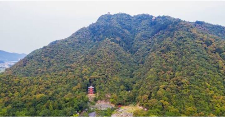 伊奈波神社 不思議