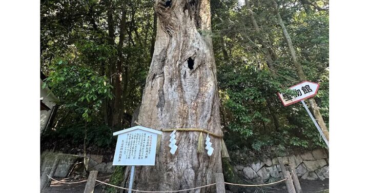大山祇神社 不思議