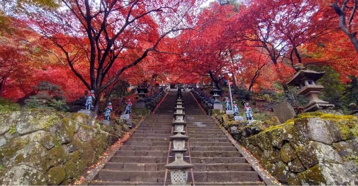 大山阿夫利神社 スピリチュアル