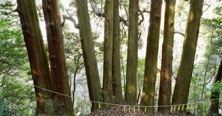 天岩戸神社 気持ち悪い