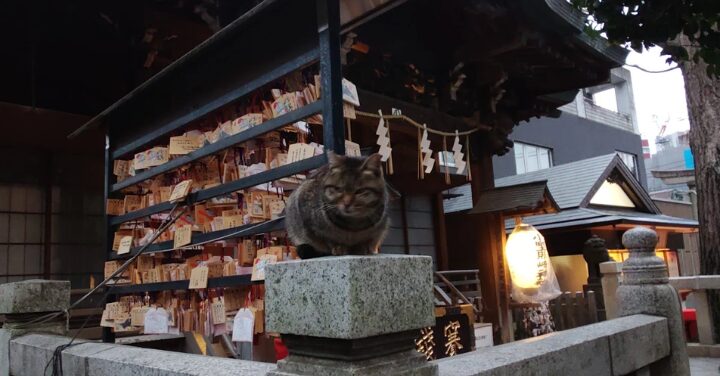 小野照崎神社 約束破る