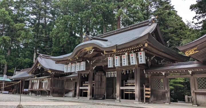 弥彦神社やばい