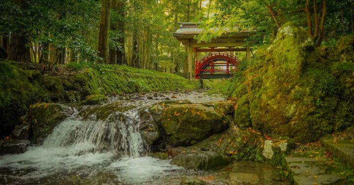 弥彦神社やばい