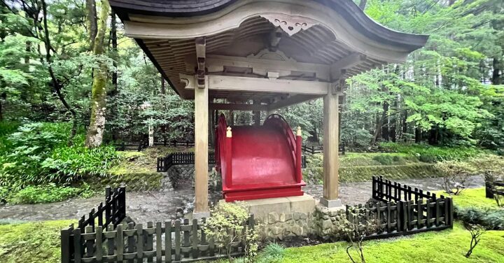 弥彦神社やばい
