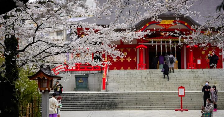 花園神社 怖い
