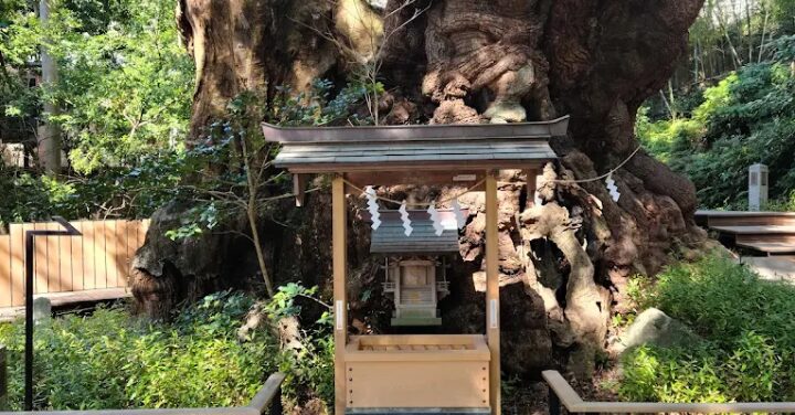 来宮神社 願いが叶った