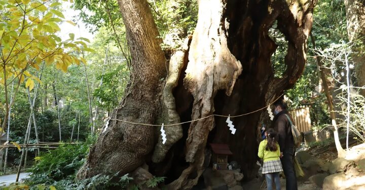 来宮神社 願いが叶った