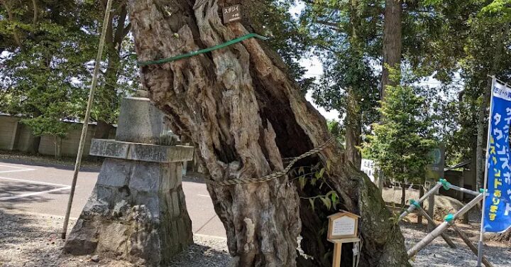 一言主神社 怖い
