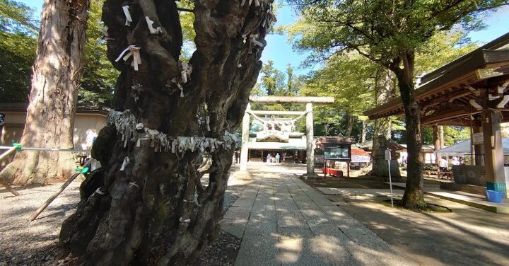 一言主神社 怖い