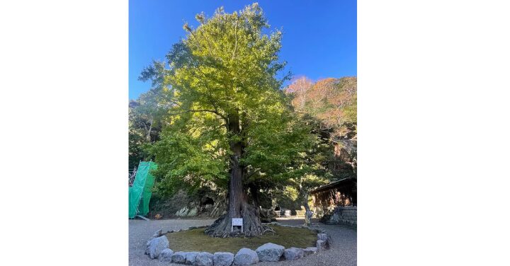 安房神社 不思議体験