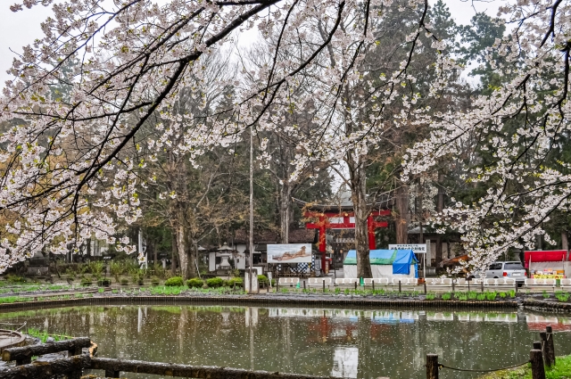 伊佐須美神社 スピリチュアル