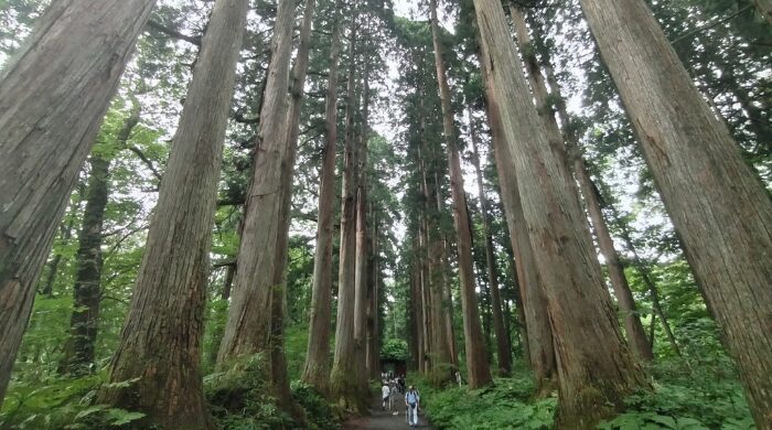 すごいパワースポット戸隠神社