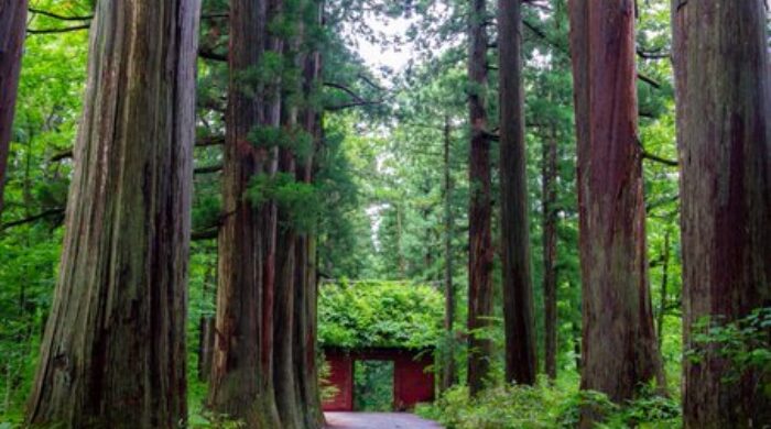 すごいパワースポット戸隠神社