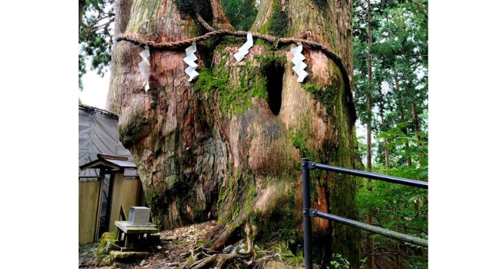 玉置神社 人生が変わる
