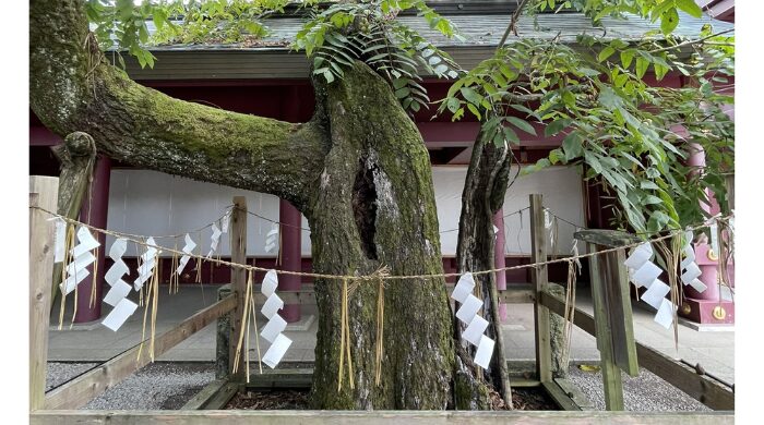 笠間稲荷神社 行ってはいけない
