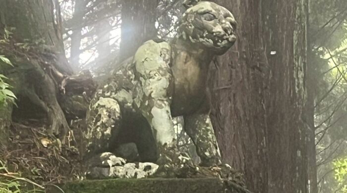 三峯神社 人を選ぶ