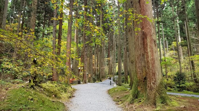 御岩神社 危険