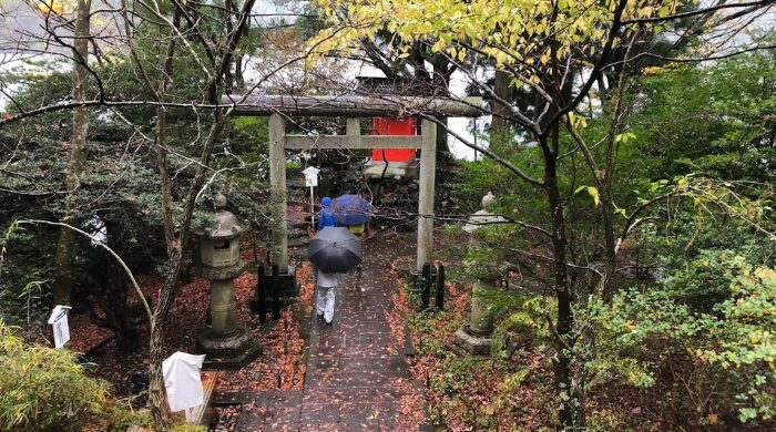 九頭龍神社 スピリチュアル