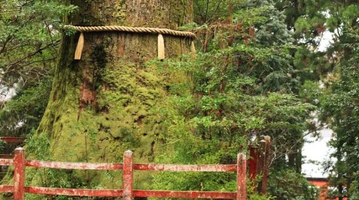 九頭龍神社 スピリチュアル