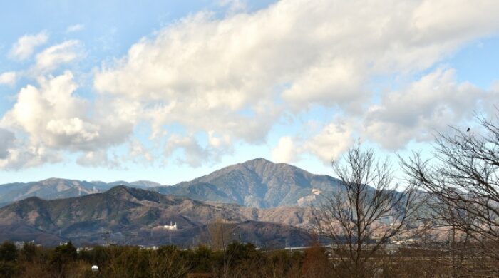 がっかり ひどい 大山阿夫利神社 御朱印