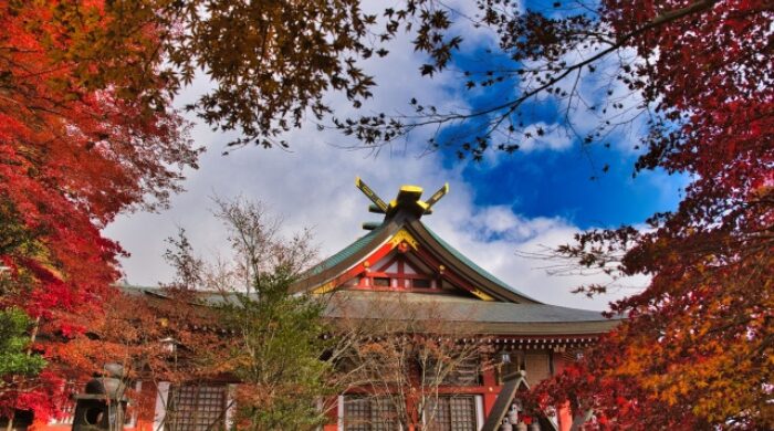 がっかり ひどい 大山阿夫利神社 御朱印