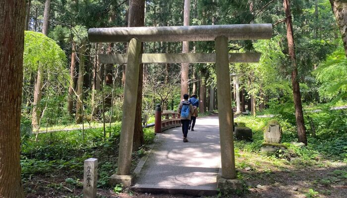 弥彦神社なぜ有名