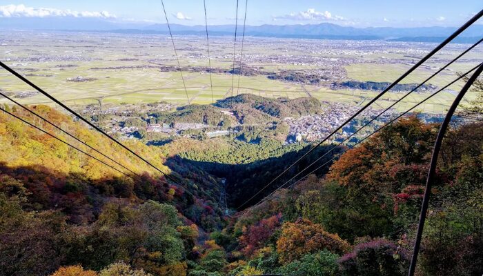 弥彦神社なぜ有名