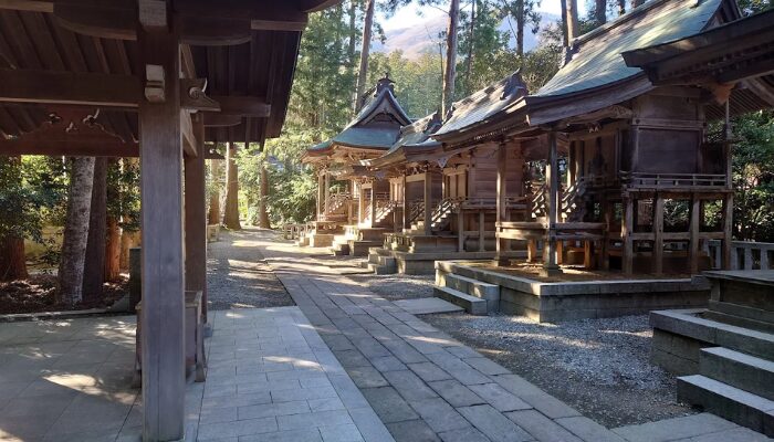 弥彦神社なぜ有名