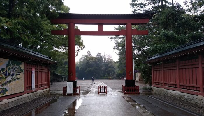 氷川神社 総本山 どこ