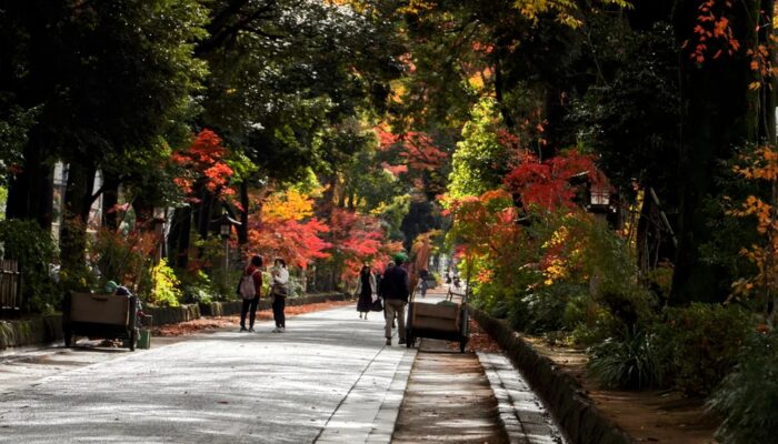 氷川神社 総本山 どこ