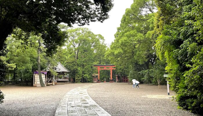 氷川神社 総本山 どこ