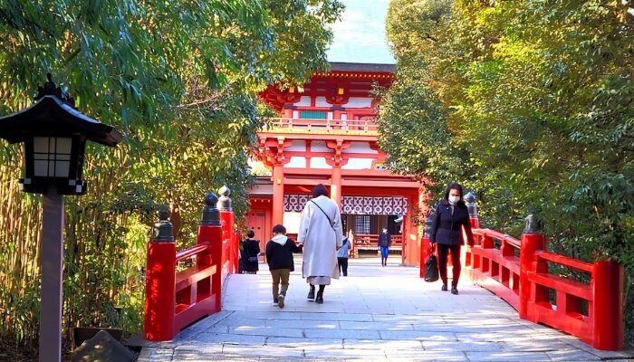 氷川神社 総本山 どこ