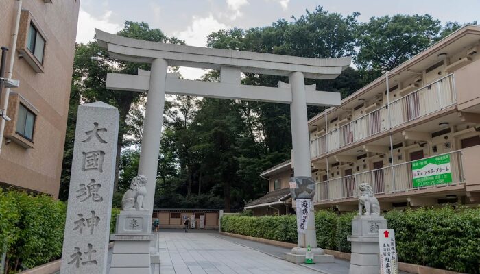 大國魂神社 スピリチュアル