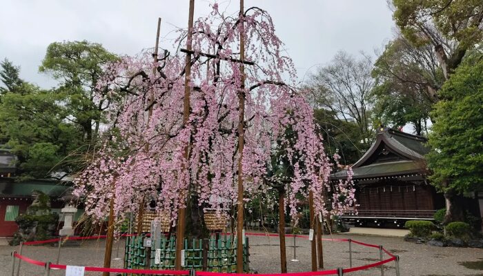 大國魂神社 スピリチュアル