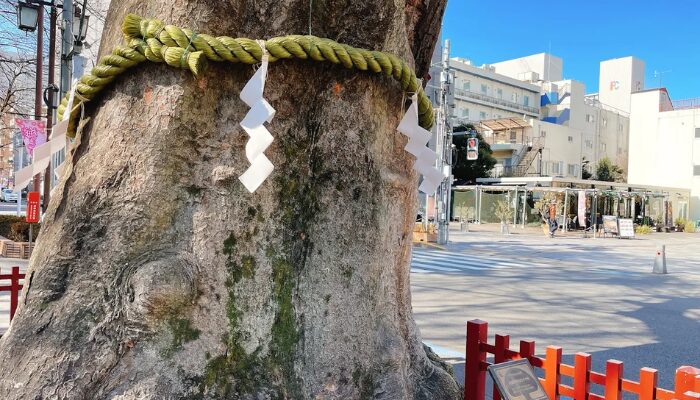 大國魂神社 スピリチュアル