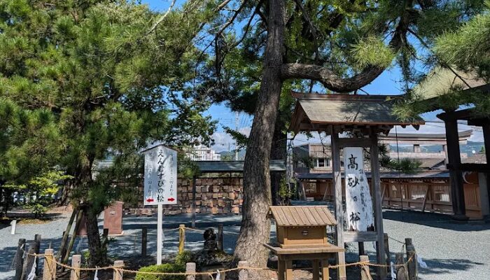 阿蘇神社 何の神様