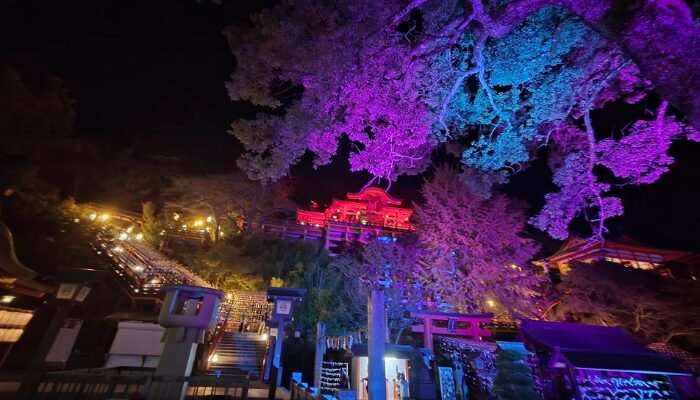 祐徳稲荷神社 行ってはいけない