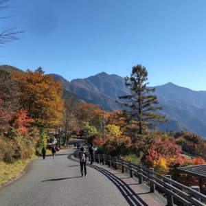 三峰神社 お守り 種類