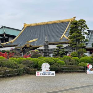 佐野厄除け大師 やばい