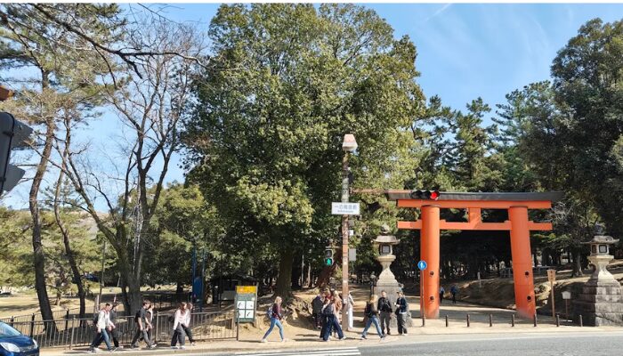 春日大社 何の神様