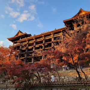 清水寺飛び降りる
