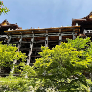 清水寺飛び降りる