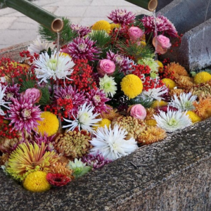 八坂神社 うさぎ