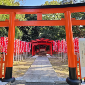 護国神社 蚤の市