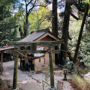 菊池神社