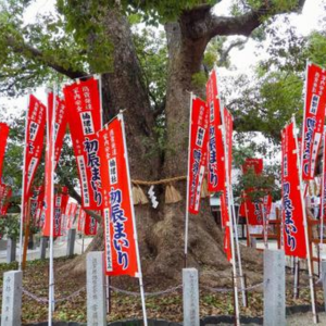 住吉大社 神様いない