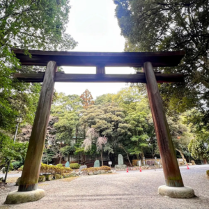 近江神宮ちはやふる