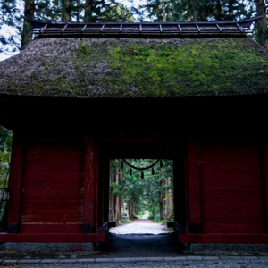 戸隠神社人生変わる